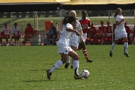 IMG_1352.JPG