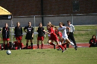 IMG_8609.JPG