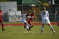 IMG_8659.JPG